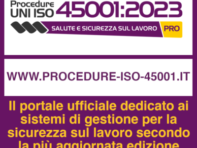 iso 45001 winple